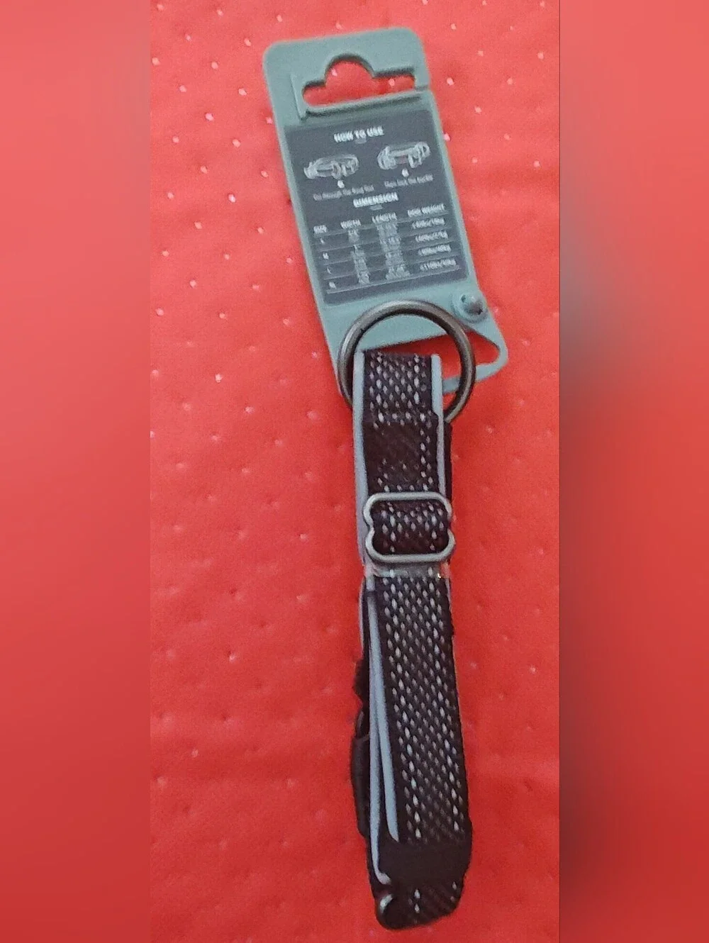Black Soft-Padded Dog Collar - Adjustable Comfort